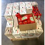 Shell Aeroshell W100 6qt case